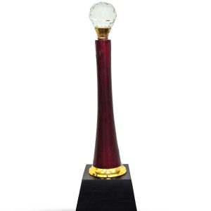 Varisht Nagrik Samman